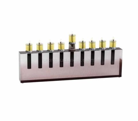 HAJ-001-2 Custom Lucite Menorah for Jewish Hanukkah Acrylic candelabrum Candelabra can as vase